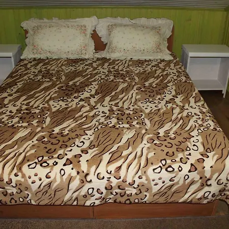 Pensjonat U Bogdana *