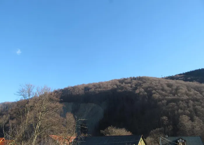 U Bogdana Konukevi *